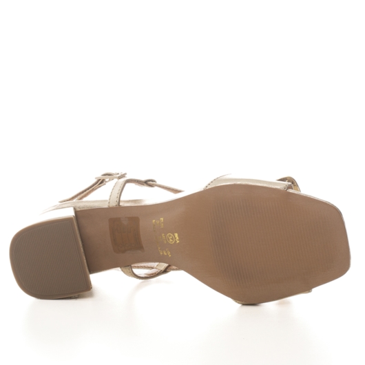 image_ee9f8b65-9d1e-4dd0-849c-8030764ce039