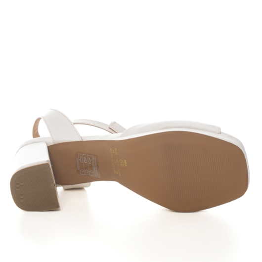 image_d1aa52a0-daf7-4316-a8a4-0c6cbe50fc4c